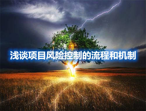 淺談項(xiàng)目風(fēng)險(xiǎn)控制的流程和機(jī)制